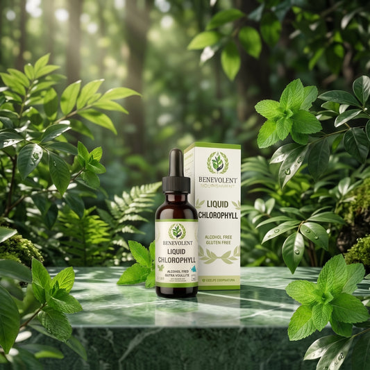 CLOROFILA BENEVOLENT® Revitaliza y restaura tu cuerpo