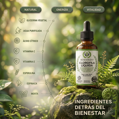CLOROFILA BENEVOLENT® Revitaliza y restaura tu cuerpo