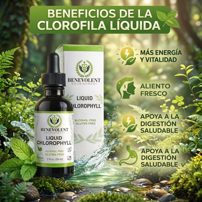 CLOROFILA BENEVOLENT® Revitaliza y restaura tu cuerpo